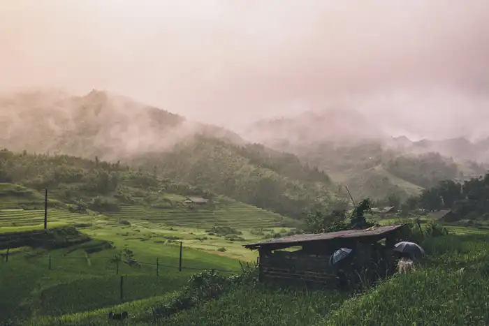 Peora, an amazing hamlet(village) nestled in the Nainital district of Uttarakhand